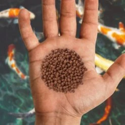 Nishikoi Baby Grower Growth Micro Pellets -Garden Furniture Sales 043G.4