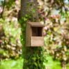 Chapelwood Classic Robin Nest Box -Garden Furniture Sales 1451825 7522005 2 3 600 1