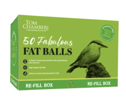 Tom Chambers Fabulous Fat Balls Box Of 50