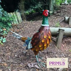 Primus Woodland Metal Ring Necked Pheasant -Garden Furniture Sales Primus metal woodland ring necked pheasant 2