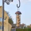 Chapelwood Acorn Suet Ball Feeder 26cm 2 Chapelwood Acorn Suet Ball Feeder 26cm -Garden Furniture Sales chapelwood acorn suet ball feeder 2