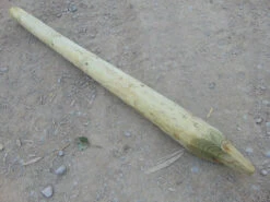 Tanalised Round Fence Stake 8' X 5-6" - 15 Year Life Expectancy