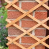 The Good Life Wooden Expandable Trellis 1.8m X 0.6m -Garden Furniture Sales trellis wood expanding 1 1