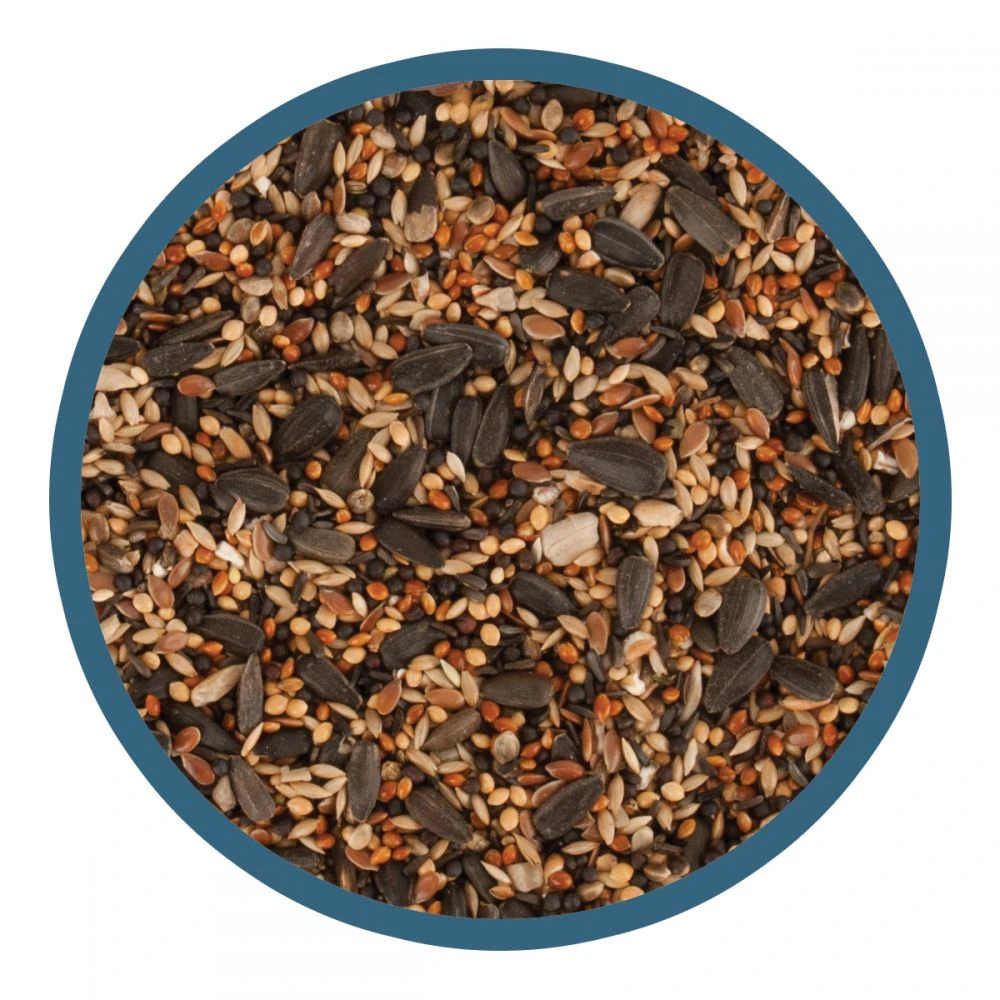 Walter Harrison's Ultimate Goldfinch Mix Bird Feed Pouch 2kg 4 Walter Harrison's Ultimate Goldfinch Mix Bird Feed Pouch 2kg - Image 2